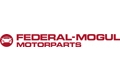 Приглашение на семинар по продукции Federal-Mogul Motorparts в Чернигове (10.06.2015)