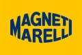 Совместное предприятие Magneti Marelli и Faurecia