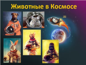 Лекція «Тварини в космосі»