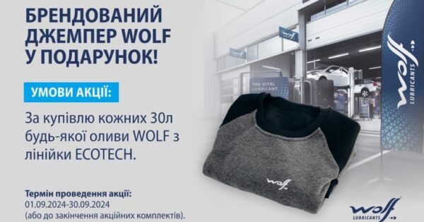 Брендований джемпер WOLF у подарунок